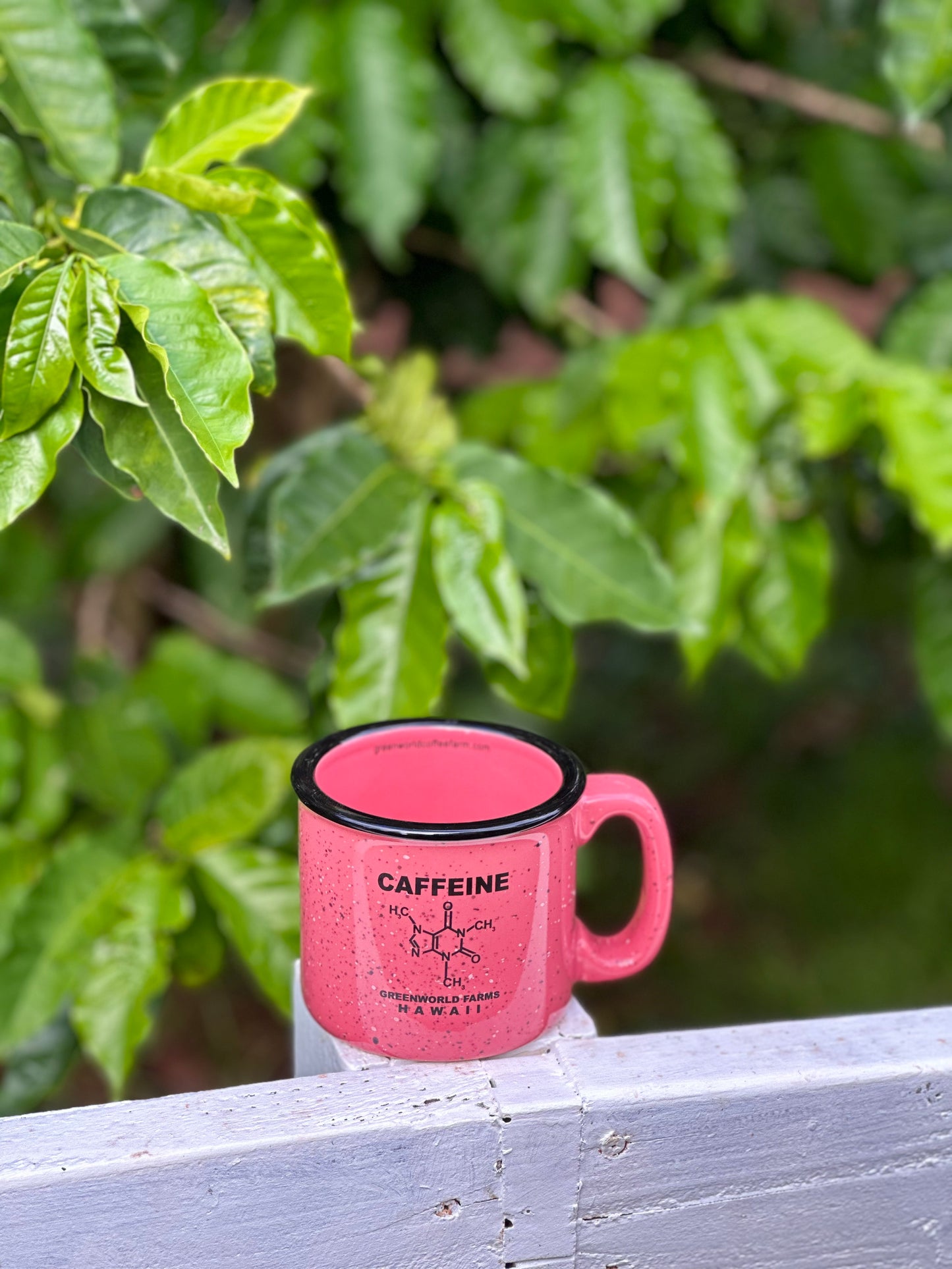 Campfire Mugs