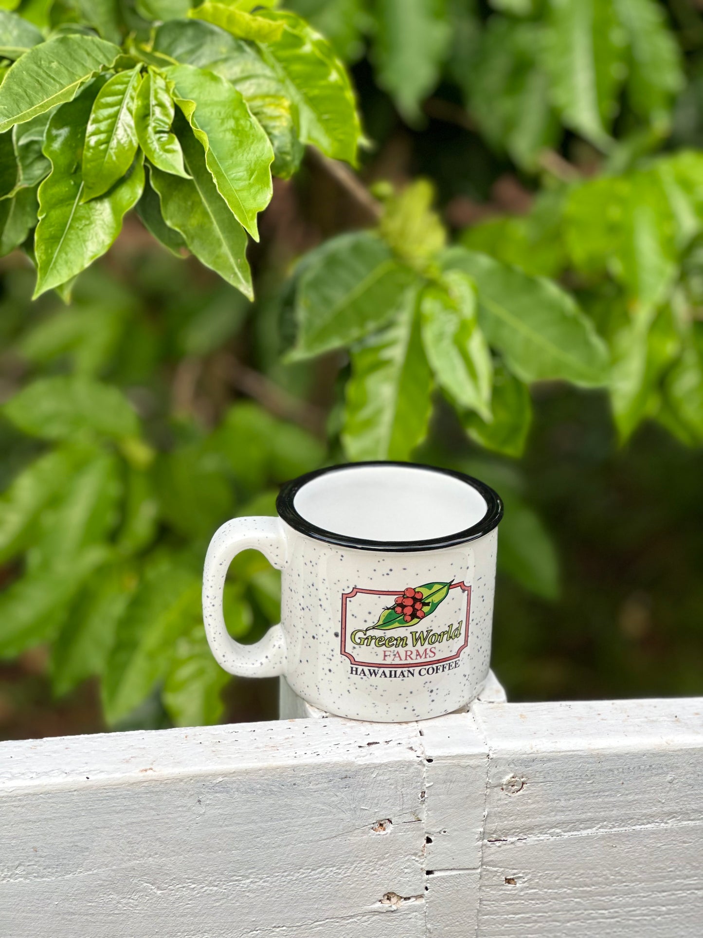 Campfire Mugs