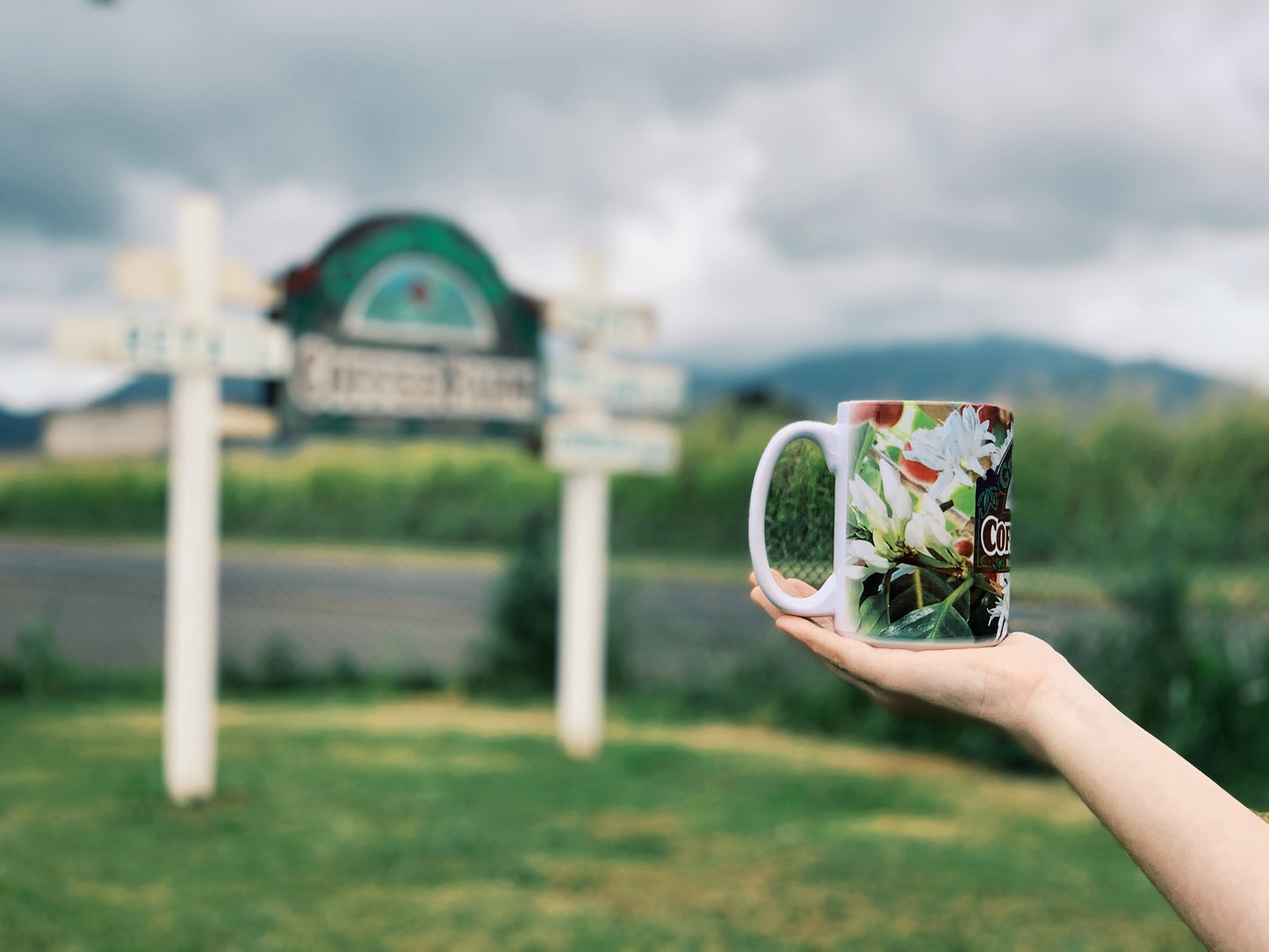 Cherry Blossom Mug